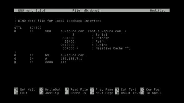 Konfigurasi DNS Server Debian 7.8 смотреть онлайн