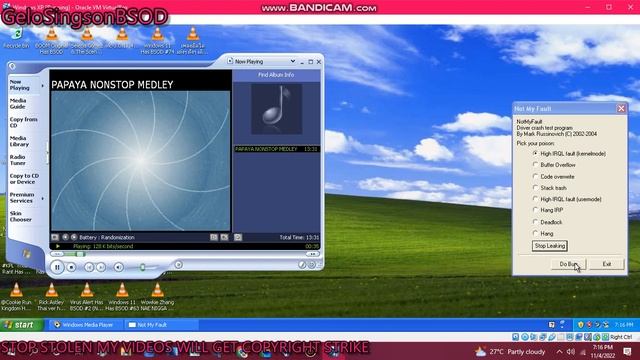 Papaya Christmas Remix has BSOD VM (Windows XP) смотреть онлайн