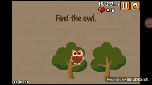 What's My IQ Level 41 to 50 Answers