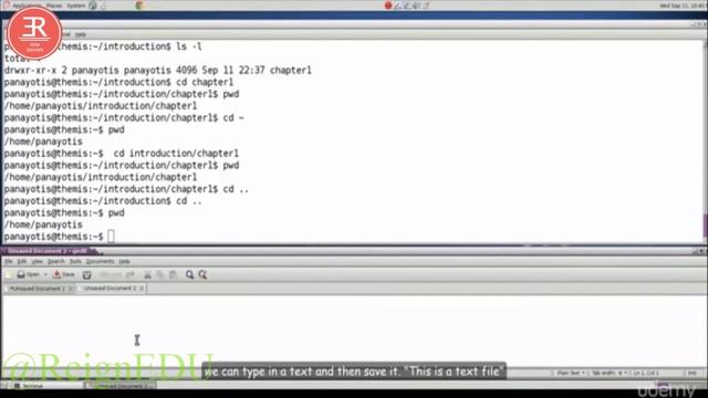Programming: Linux Advanced Commands and GUI #LectureSeries #ReignEDU #Prog5 смотреть онлайн