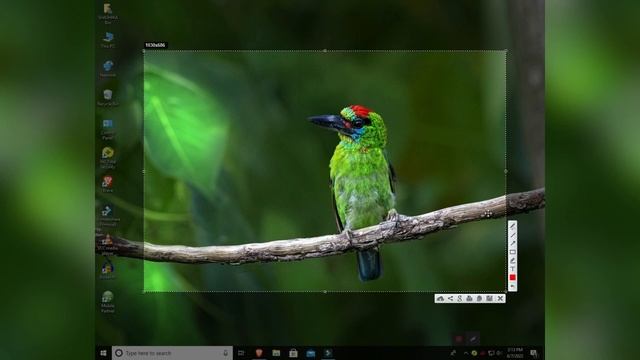 How to Take Screenshots in Windows | lightshot software for pc | Lightshot смотреть онлайн