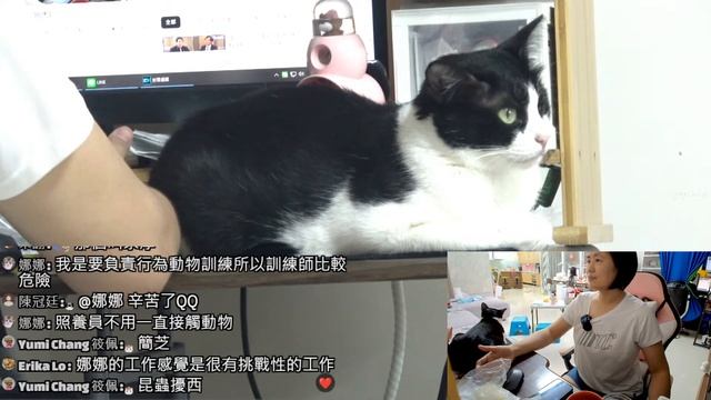 【直播】阿金今天拆線了&10塊錢買到的芒果 20230606 (MiMi醬&黑妞&阿金&歐戀&阿虎) смотреть онлайн