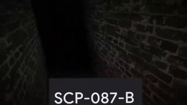 SCP-087-B Multiplayer Horror Gameplay