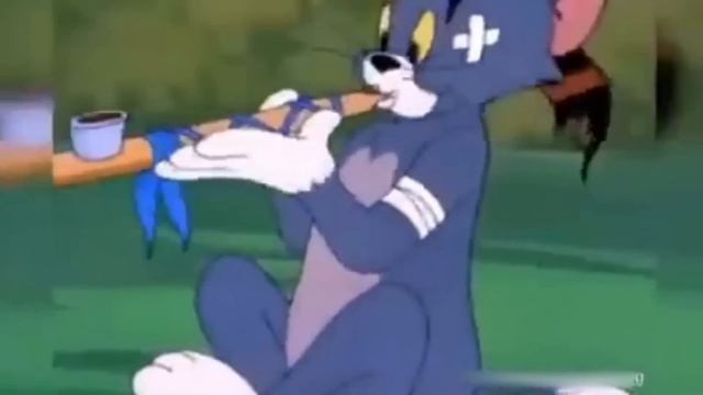 Tom and Jerry Windows XP meme смотреть онлайн