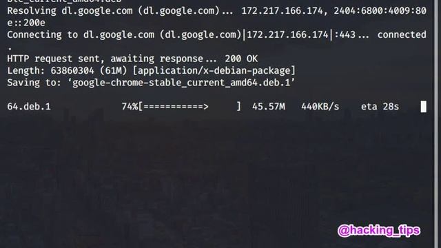 Installing Google-chrome in Kali Linux смотреть онлайн
