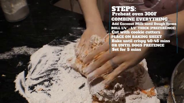 Bake with Me/ Carrot& Apple coconut Dog Biscuits/ Treats смотреть онлайн