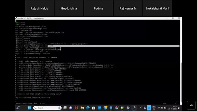 Install Nexus Directories in Linux instance смотреть онлайн
