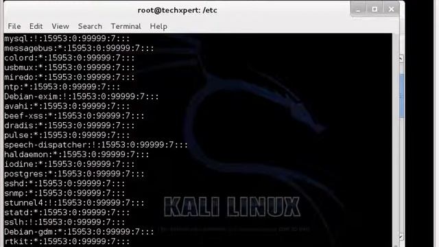 kali basic knowladge start working with смотреть онлайн