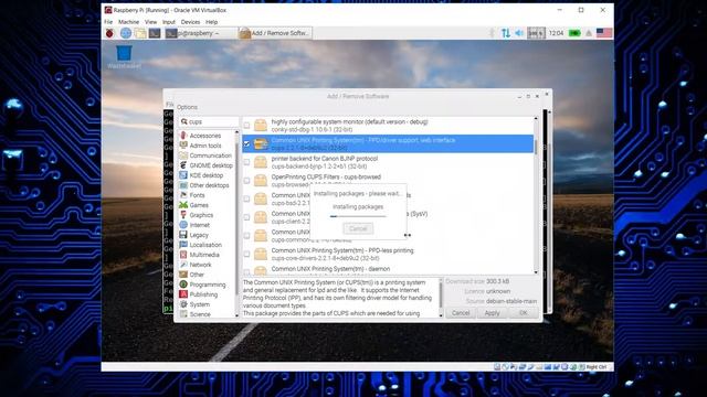03 Install CUPS смотреть онлайн