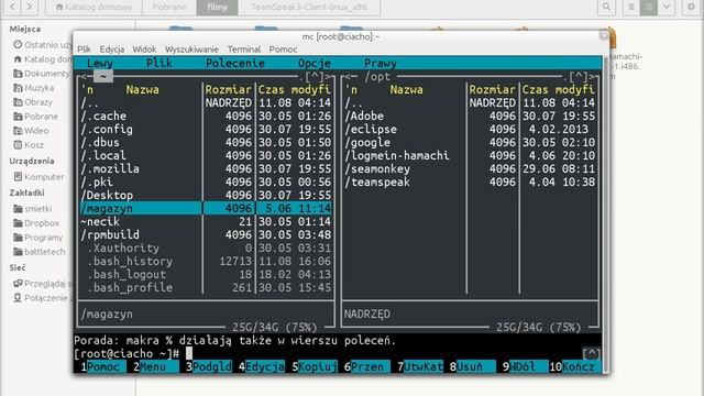 Linux, Skype i Teamspeak. смотреть онлайн