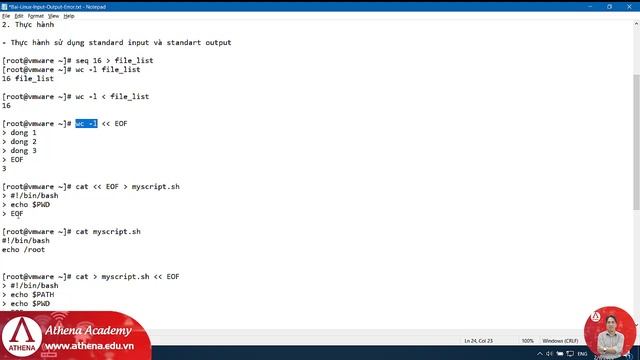 Bài: Linux Standard Input Ouput Error смотреть онлайн