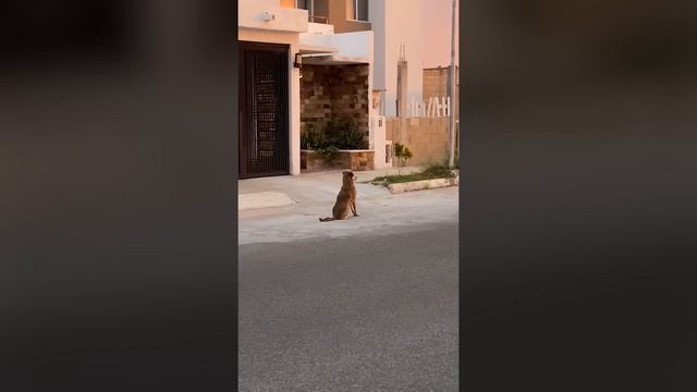 Incredible Moments Caught On Camera #3 смотреть онлайн