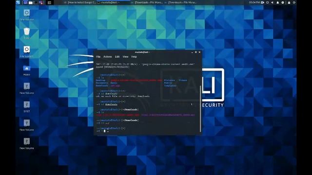 how to install chrome on kali linux смотреть онлайн