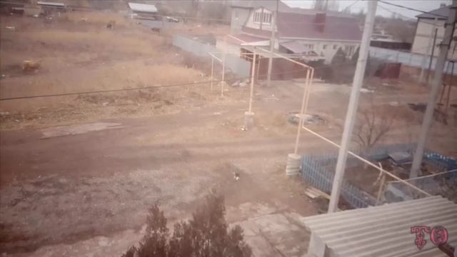 БУДНИ НАШЕГО ДОМАШНЕГО КОТА ВАСИЛИЯ