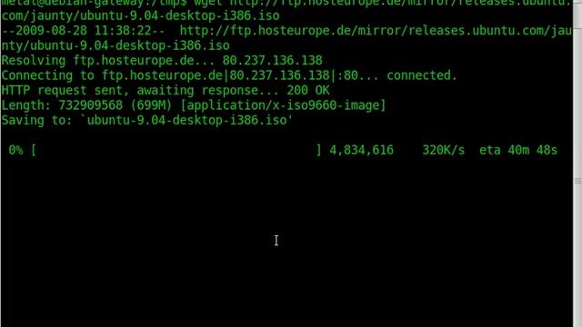 BASH Lesson wget смотреть онлайн