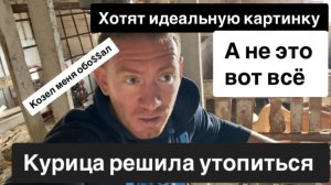 Меня козел обо$$ал, курица зашла в лужу и умерла. А журналисты хотят розовые слюни.