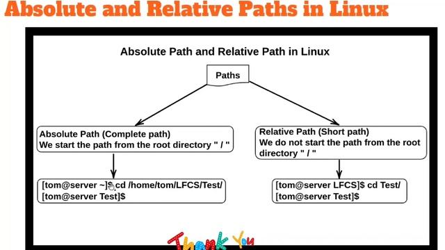 Basic Command Options and Arguments in Linux #commandandconquer #linux #redhat смотреть онлайн