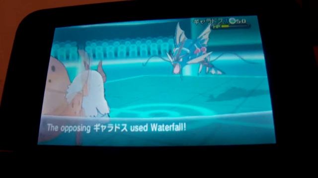 Tesla's Pokemon X & Y wifi battle adventures S1E5 (Don't rock it, like a hurricane!!) смотреть онлайн