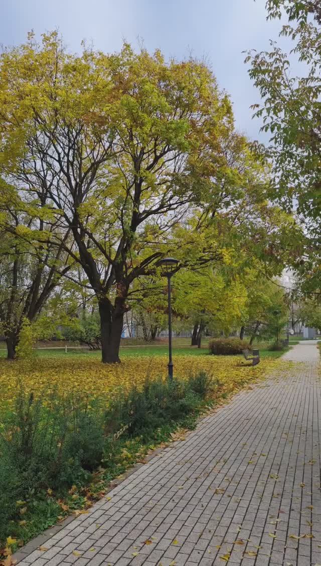 Фотопрогулка в осеннем парке, день 18 октября 2024 года, короткая история 1.