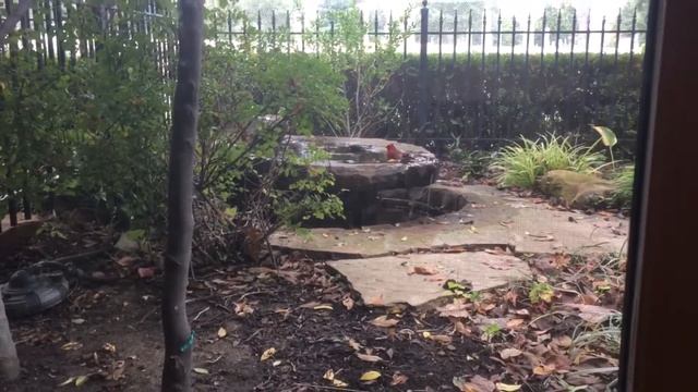 Please Seat Yourself смотреть онлайн