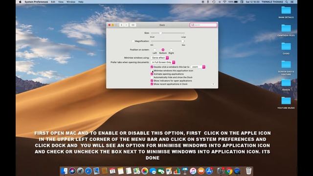 HOW TO ENABLE OR DISABLE MINIMISE WINDOWS INTO APPLICATION ICON IN MAC OS MOJAVE смотреть онлайн
