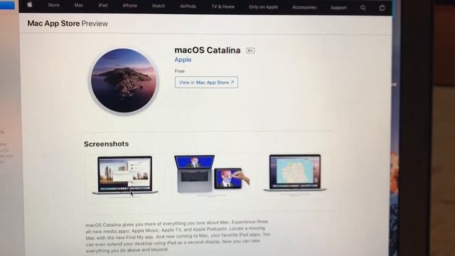Get Catalina 👍 смотреть онлайн