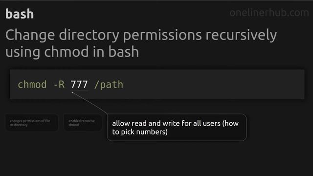 Change directory permissions recursively using chmod in bash смотреть онлайн