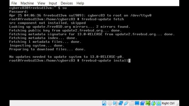 FreeBSD Update Demonstration in Shell смотреть онлайн