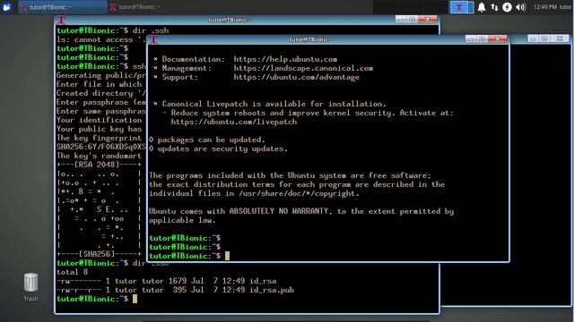 Xubuntu 18.04 Bionic Beaver - Install OpenSSH - Connect To Host смотреть онлайн