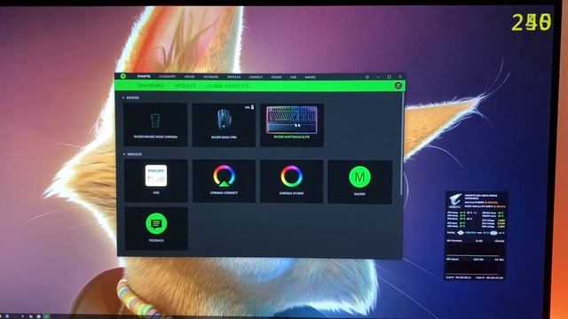 Corsair XENEON 27QHD240 - Win Razer Synapse flickering смотреть онлайн