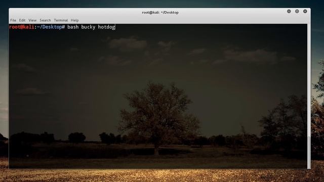 Linux Tutorial for Beginners More on Shell Scripting in Ubuntu смотреть онлайн