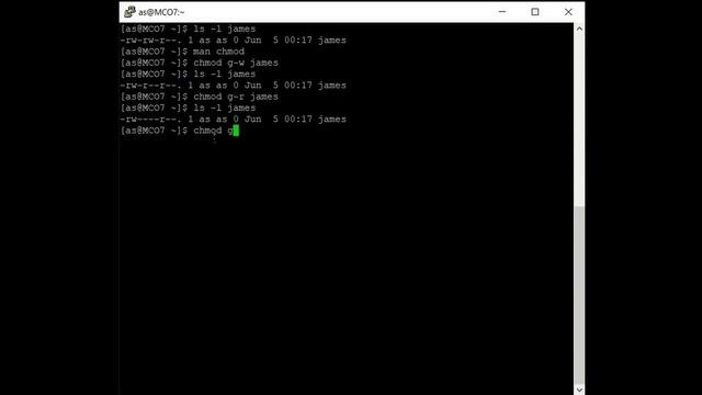 Linux 33 (Manual and File Permission In Linux) смотреть онлайн