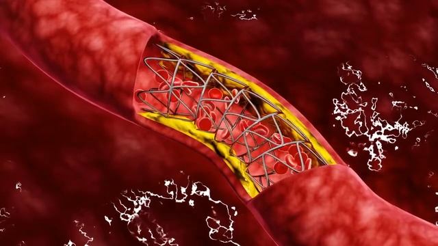 здоровье,еда.