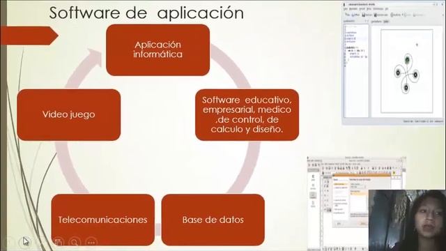 vídeo tutorial acerca de software смотреть онлайн