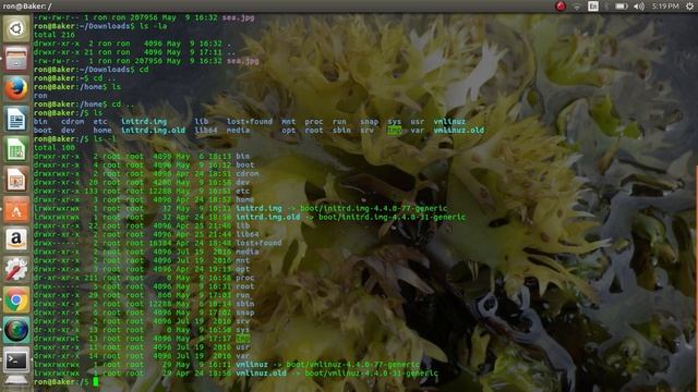 Linux Command Line basics (navigation with ls cd and pwd) смотреть онлайн