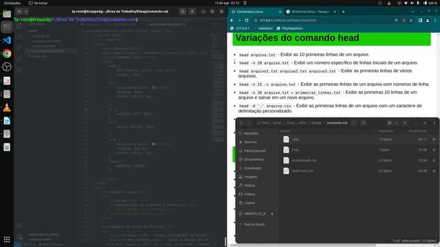 007-Terminal Linux - comandos cat, wc, sort, tail, grep, find смотреть онлайн