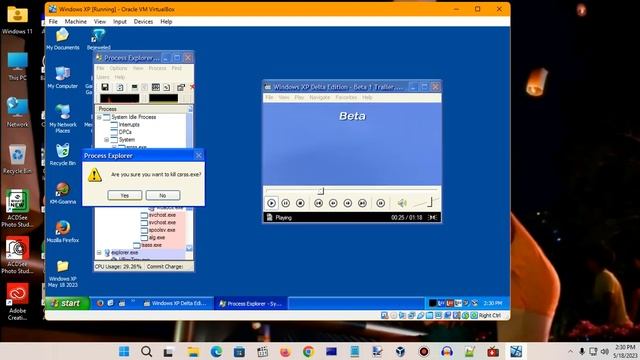 Windows XP BSOD 1316 (2023) смотреть онлайн