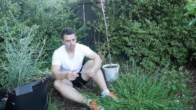 How I Planted an Apple Tree in My Garden and What I Encountered смотреть онлайн
