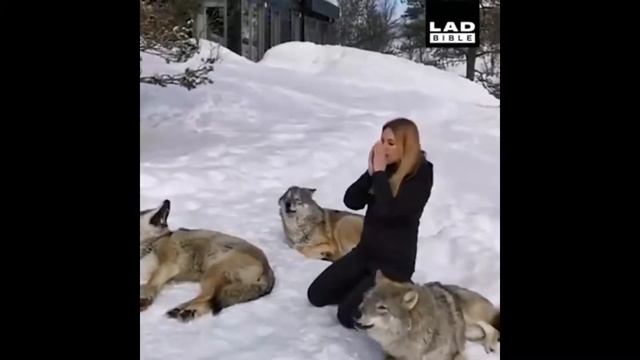 Как-будто бежала с волками и притомилась смотреть онлайн