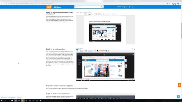 Hoe maak ik een screenshot in Windows? смотреть онлайн