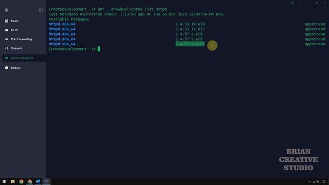 Install PHP 7.4 dengan Apache di Centos Stream 9 смотреть онлайн