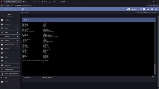 【update】jellyfin jail installation record on truenas core based on freebsd смотреть онлайн
