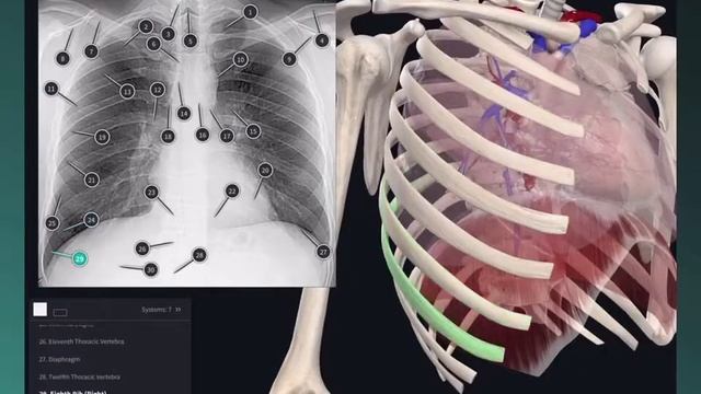 Complete Anatomy 2022: Getting Started смотреть онлайн