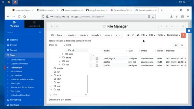 Cowrie Honeypot einrichten (Teil 2) смотреть онлайн