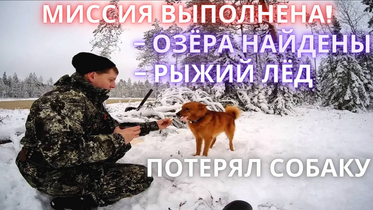 ПОТЕРЯЛ СОБАКУ! ПРОБИВАЕМ ПУТИК К ЛЕСНЫМ ОЗЕРАМ. ТРИ ОЗЕРА. РЫЖИЙ ЛЁД. КРУГОМ БОЛОТА. смотреть онлайн