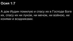 День 242. Библия за год. С митрополитом Иларионом.