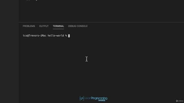 006 Variables and Dot Notation смотреть онлайн