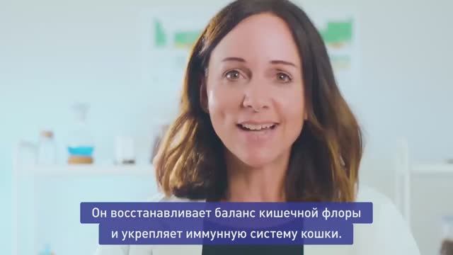 Корм для кошек Санабель c иммунным комплексом смотреть онлайн