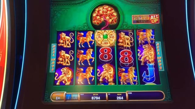 First machine first spin big win and the day got better! Piggy Bankin and Jade Eternity смотреть онлайн