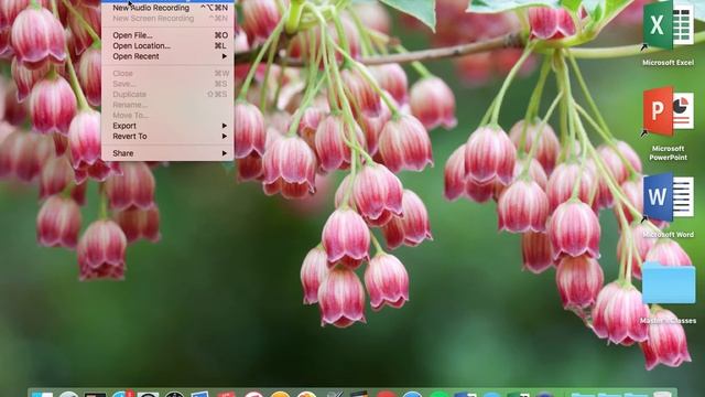 iPhone/MacBook Hack: Screen Record смотреть онлайн